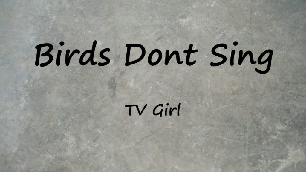 متن و ترجمه آهنگ Birds Dont Sing از TV Girl