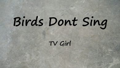 متن و ترجمه آهنگ Birds Dont Sing از TV Girl