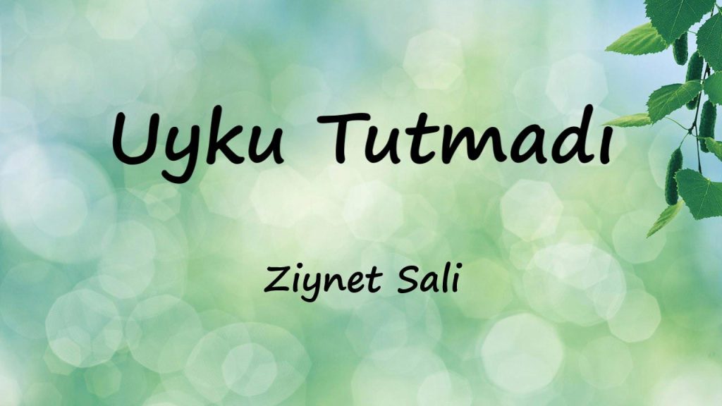 متن و ترجمه آهنگ Uyku Tutmadı از Ziynet Sali