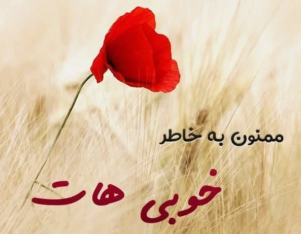 عکس استوری آمیخته با وقار برای تشکر با شکوه
