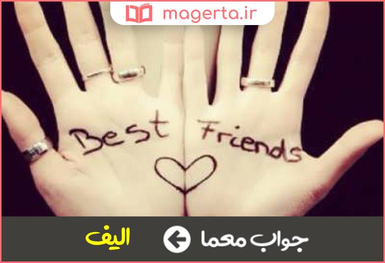 جواب معما بهترین دوست در جدول