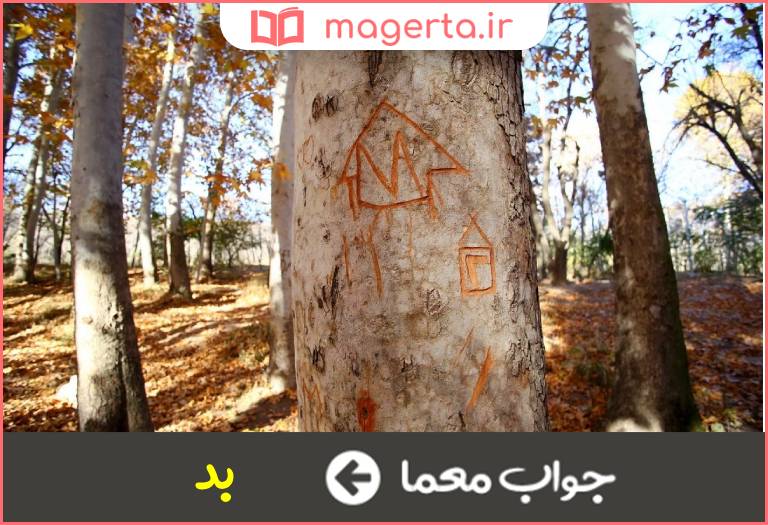 جواب معما ناپسند در جدول