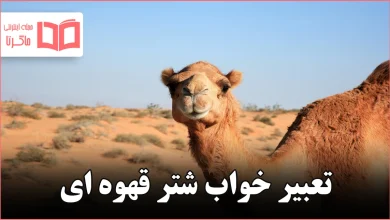 تعبیر خواب شتر قهوه ای