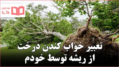 تعبیر خواب کندن درخت از ریشه توسط خودم