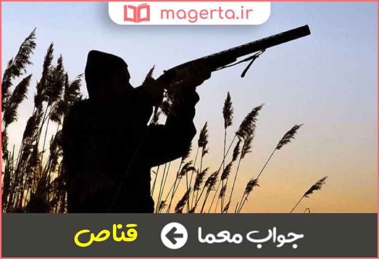 جواب معما شکارچی در جدول