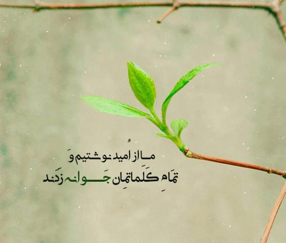 عکس استوری الهام‌بخش و پرانرژی برای غلبه بر چالش‌ها