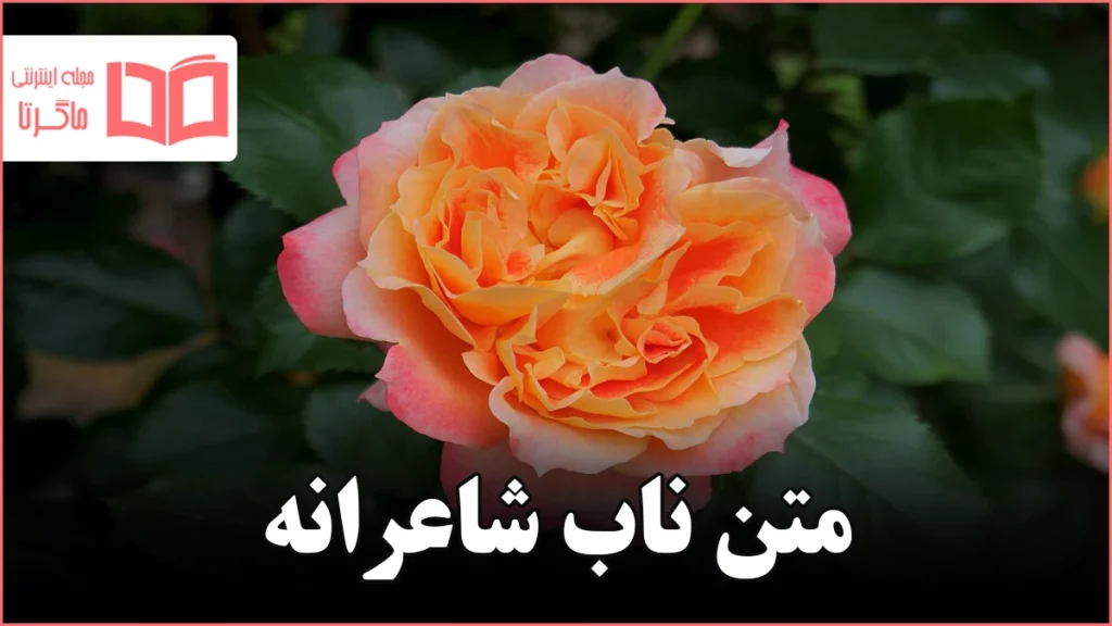 متن ناب شاعرانه