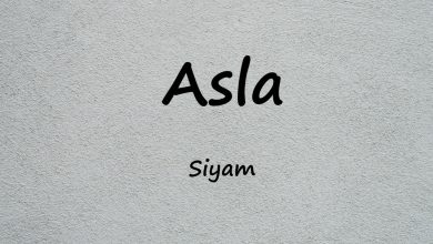 متن و ترجمه آهنگ Asla از Siyam