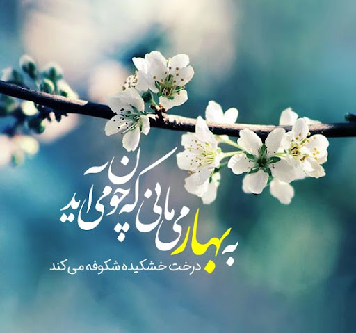 عکس پروفایل زیبا درباره طراوت و زیباییهای بهار