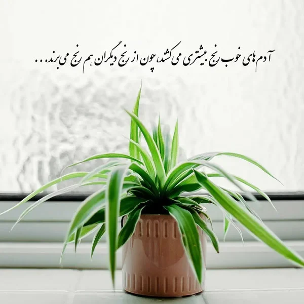 عکس استوری ناب در مورد آدمهای با ارزش