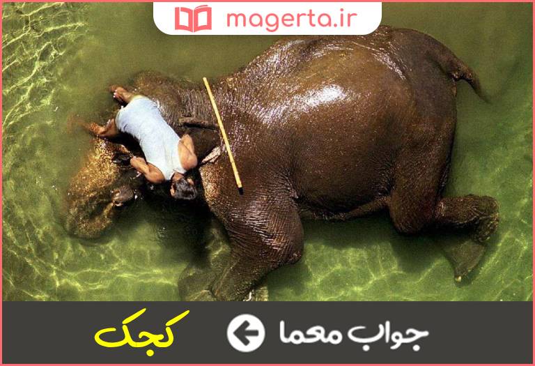جواب معما چوب دست فیلبان در جدول
