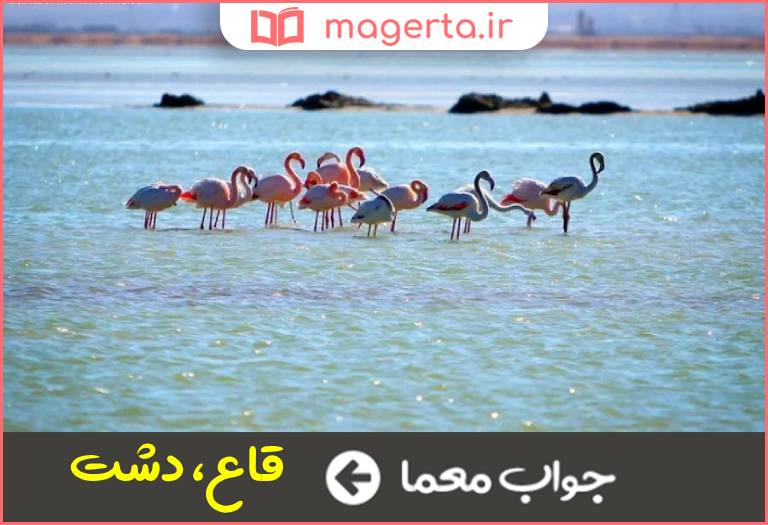 جواب معما هامون در جدول