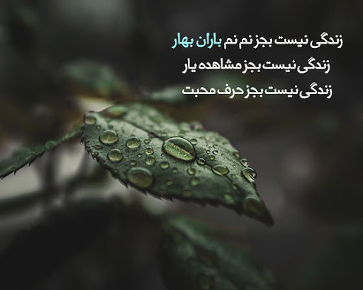 عکس نوشته ادبی زیبا در مورد باران بهاری