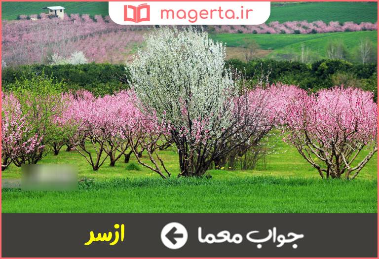 جواب معما مجددا در جدول
