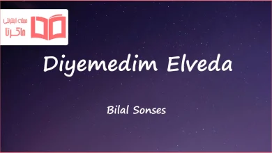 متن و ترجمه آهنگ Diyemedim Elveda از Bilal Sonses