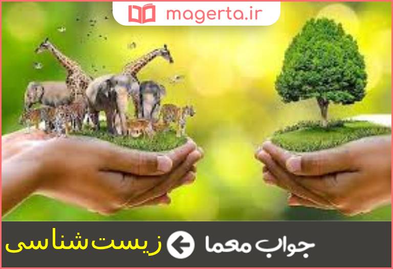 جواب معما علم گیاه و جانور شناسی در جدول