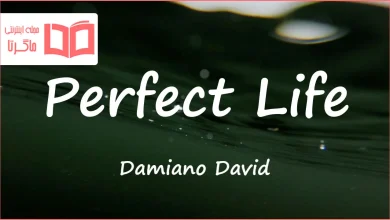 متن و ترجمه آهنگ Perfect Life از Damiano David