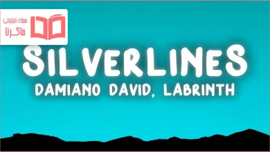 متن و ترجمه آهنگ Silverlines از Damiano David