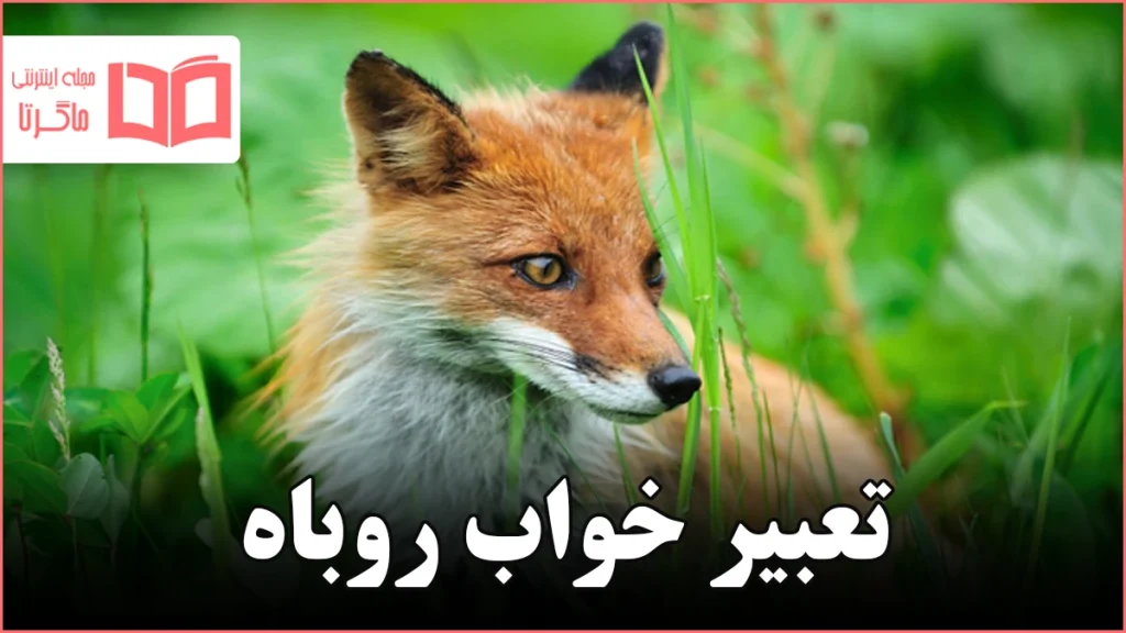 تعبیر خواب روباه