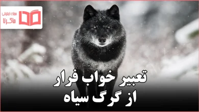 تعبیر خواب فرار از گرگ سیاه