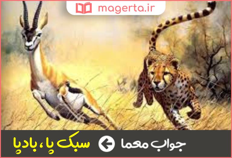 جواب معما تند و چابک در جدول