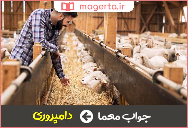 جواب معما از مشاغل زیر بنایی در جدول