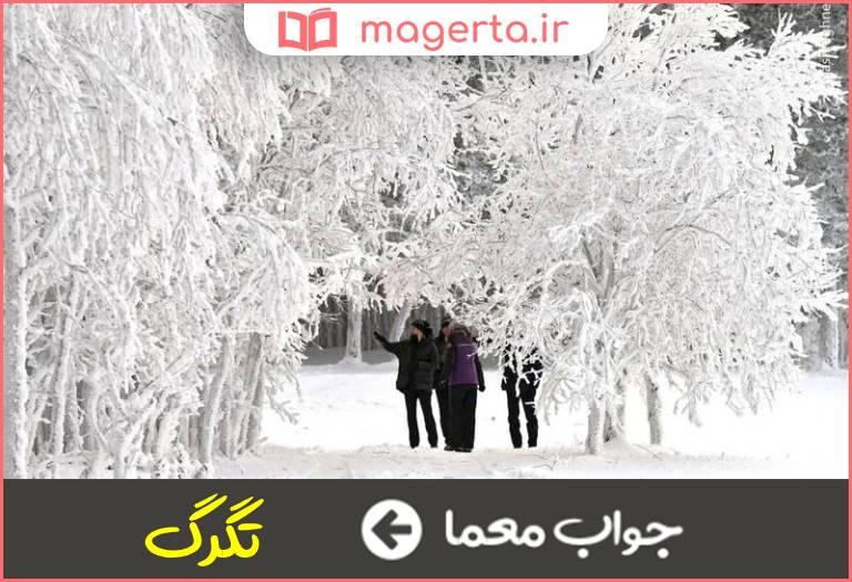 جواب معما برف منجمد در جدول