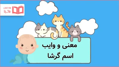معنی و وایب اسم گرشا