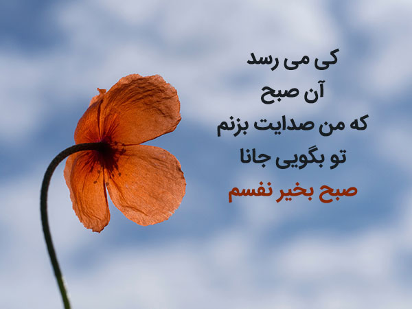 عکس نوشته احساسی صبحت بخیر همسرم و عشقم