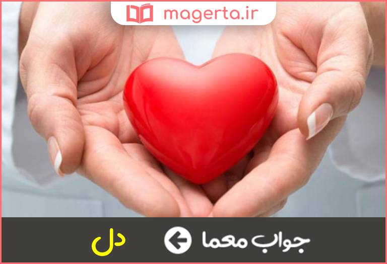 جواب معما عضوی را می رباید در جدول