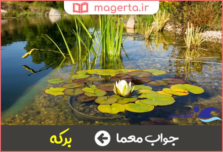 جواب معما استخر طبیعی در جدول
