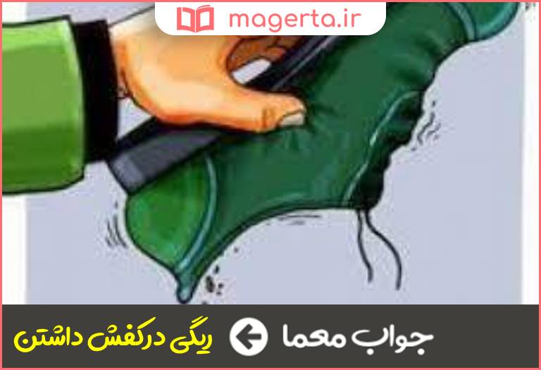 جواب معما روراست نبودن در جدول