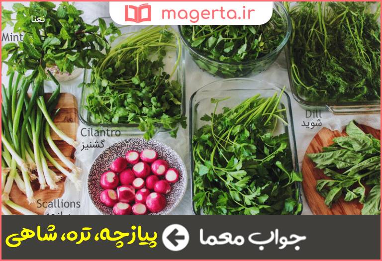 جواب معما از سبزی های خوردنی در جدول