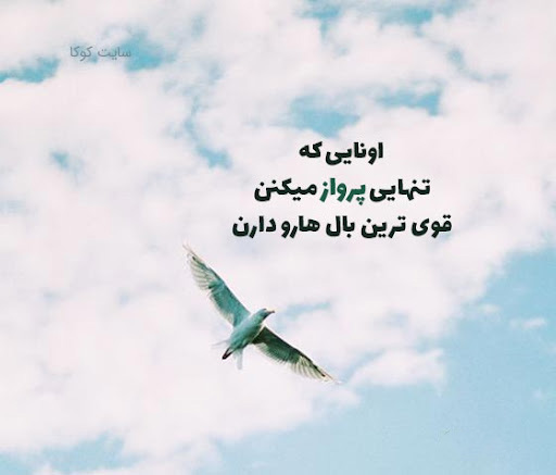 عکس نوشته فلسفی و عاشقانه پرواز کردن