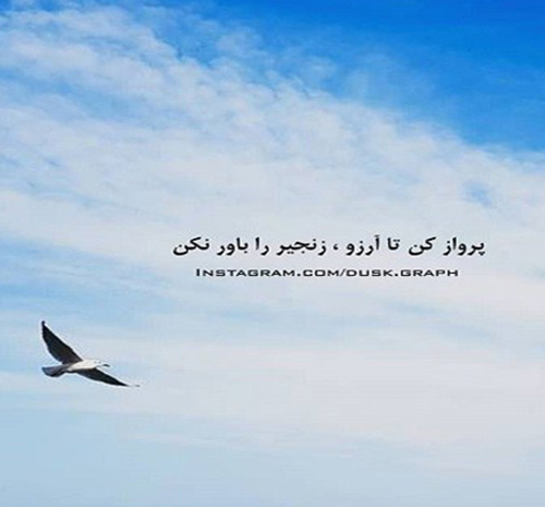 عکس نوشته پرواز کن با رویاهات