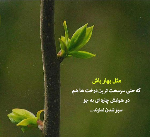 عکس متن دار کوتاه فلسفی در مورد فصل بهار