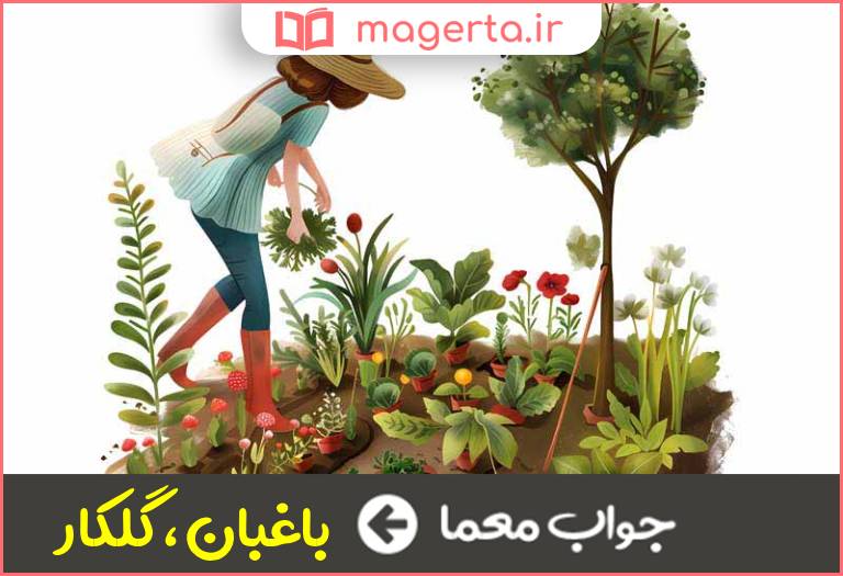 جواب معما گل پیرا در جدول