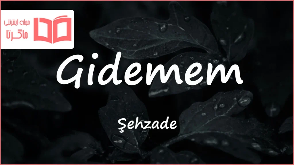 متن و ترجمه آهنگ Gidemem از Şehzade