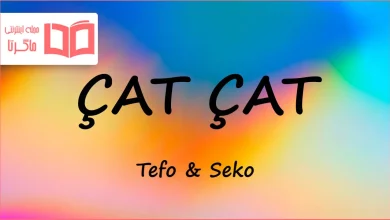 متن و ترجمه آهنگ ÇAT ÇAT از Tefo و Seko