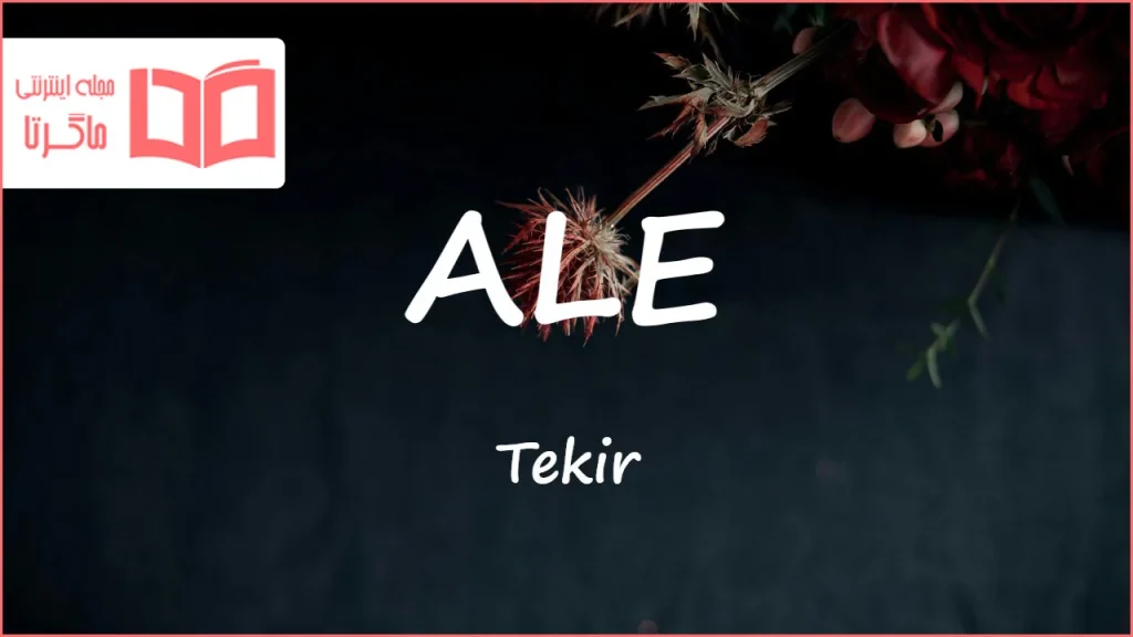 متن و ترجمه آهنگ ALE از Tekir