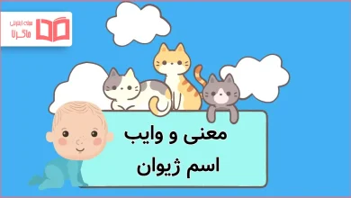 معنی و وایب اسم ژیوان