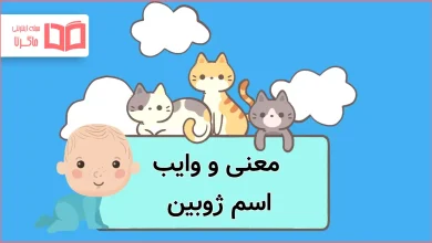معنی و وایب اسم ژوبین