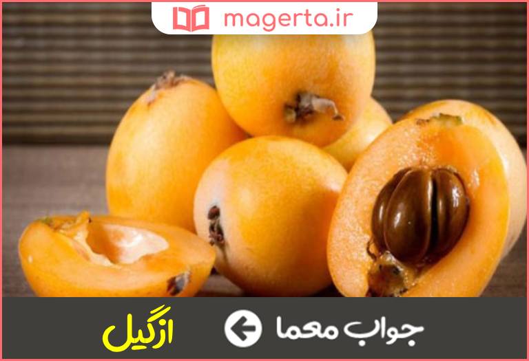 جواب معما میوه ای کوچک و زرد رنگ در جدول