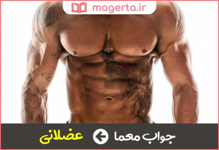 جواب معما هیکل ورزشکاری در جدول