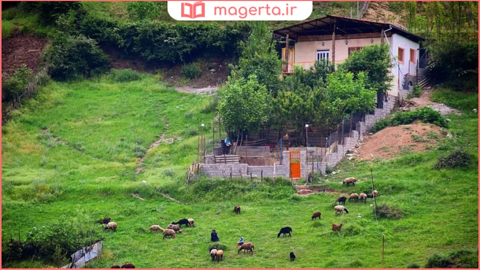 روستای زیارت گرگان