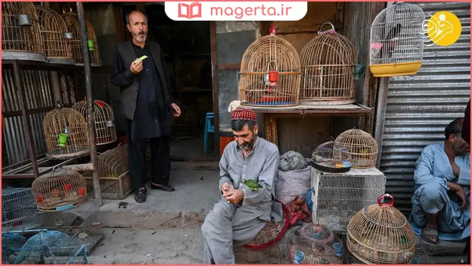 بازار پرنده‌فروشی (کوچه کاه فروشی)