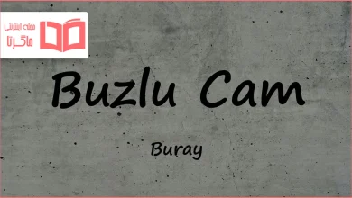 متن و ترجمه آهنگ Buzlu Cam از Buray