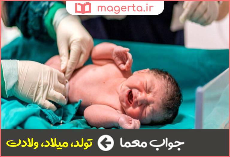 جواب معما زایش در جدول