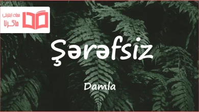 متن و ترجمه آهنگ Şərəfsiz از Damla