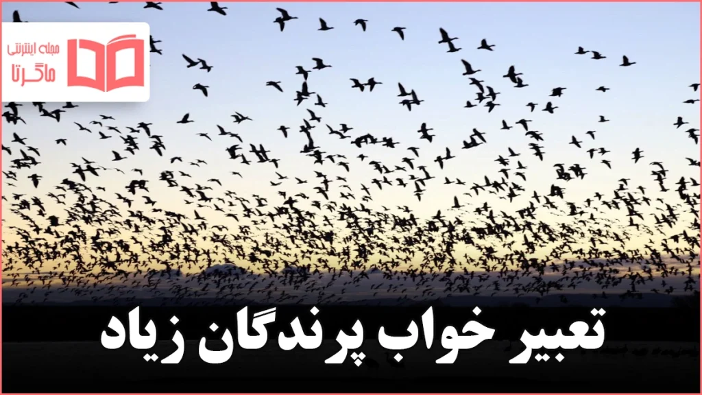 تعبیر خواب پرندگان زیاد